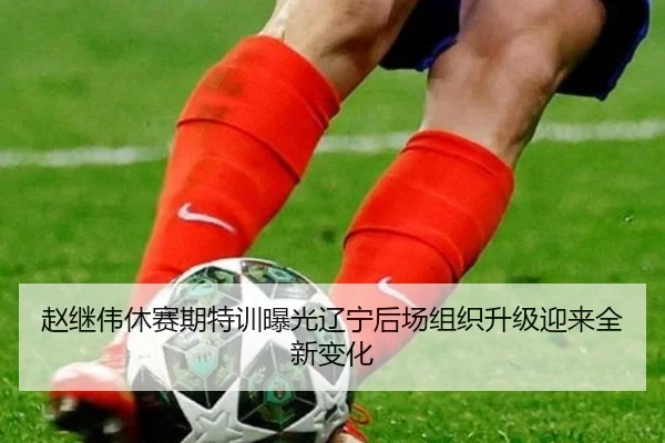 赵继伟休赛期特训曝光辽宁后场组织升级迎来全新变化